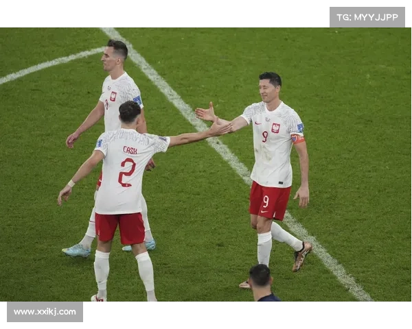 2023年法国与波兰足球比赛全面分析与总结 2023年法国与波兰足球比赛全面分析与总结